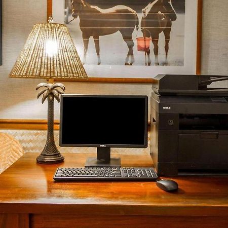 Equus Hotel Honolulu Ngoại thất bức ảnh