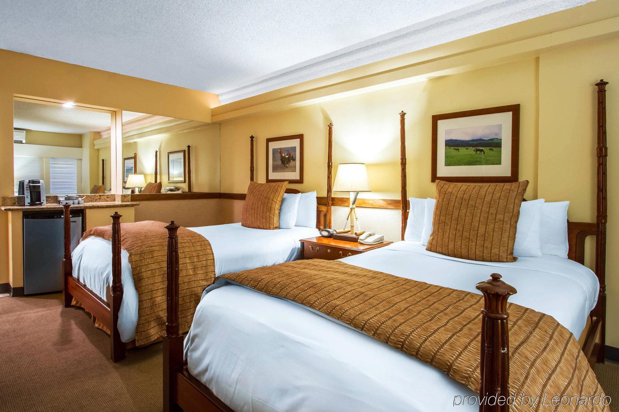 Equus Hotel Honolulu Ngoại thất bức ảnh