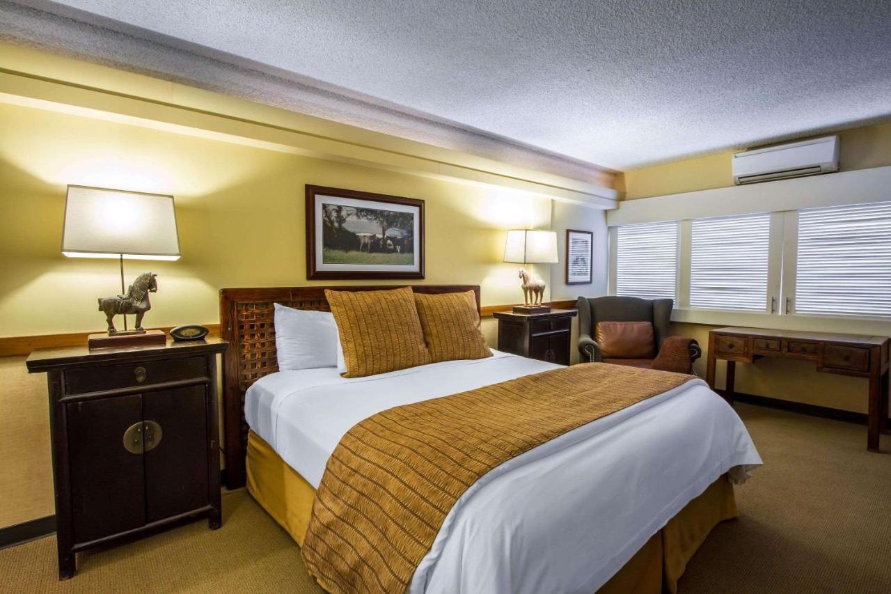 Equus Hotel Honolulu Ngoại thất bức ảnh