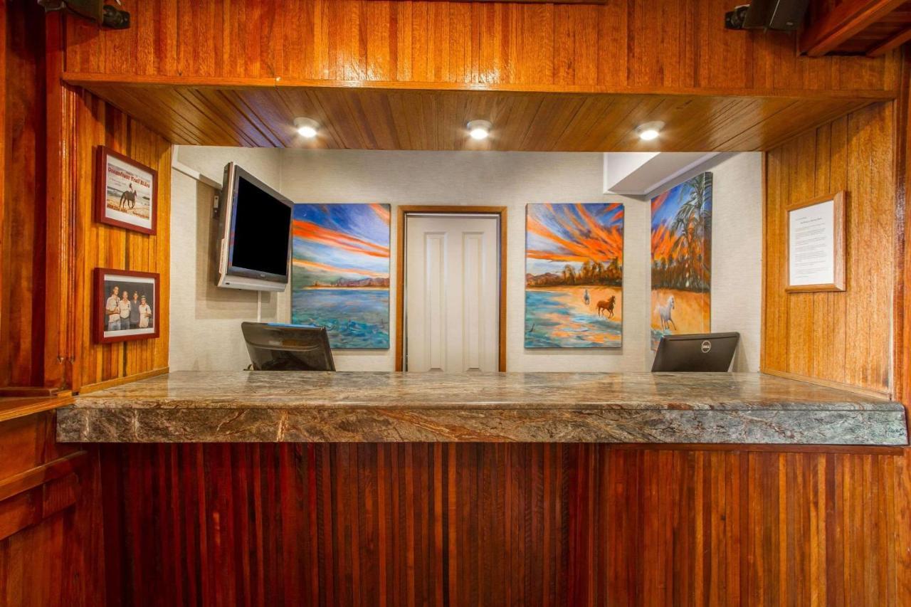Equus Hotel Honolulu Ngoại thất bức ảnh